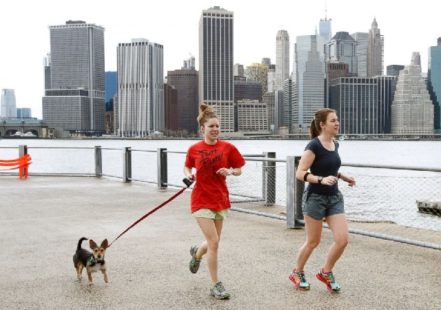 weather nyc christmas